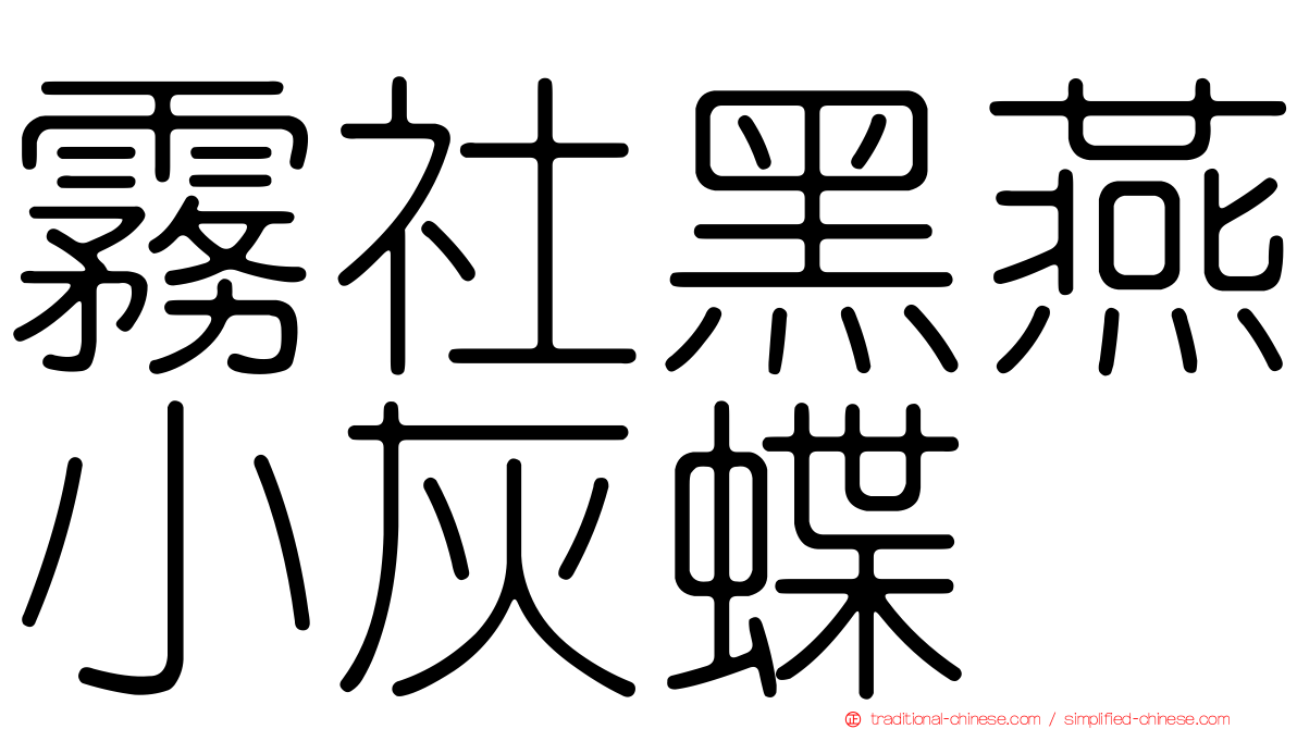 霧社黑燕小灰蝶