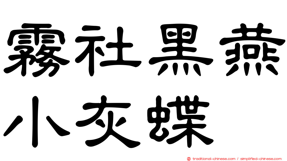 霧社黑燕小灰蝶