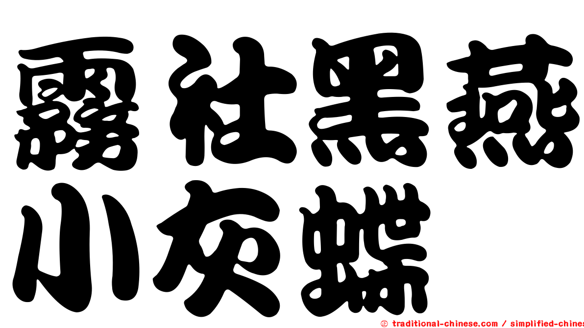 霧社黑燕小灰蝶