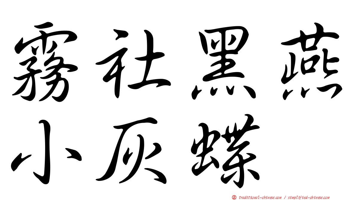霧社黑燕小灰蝶