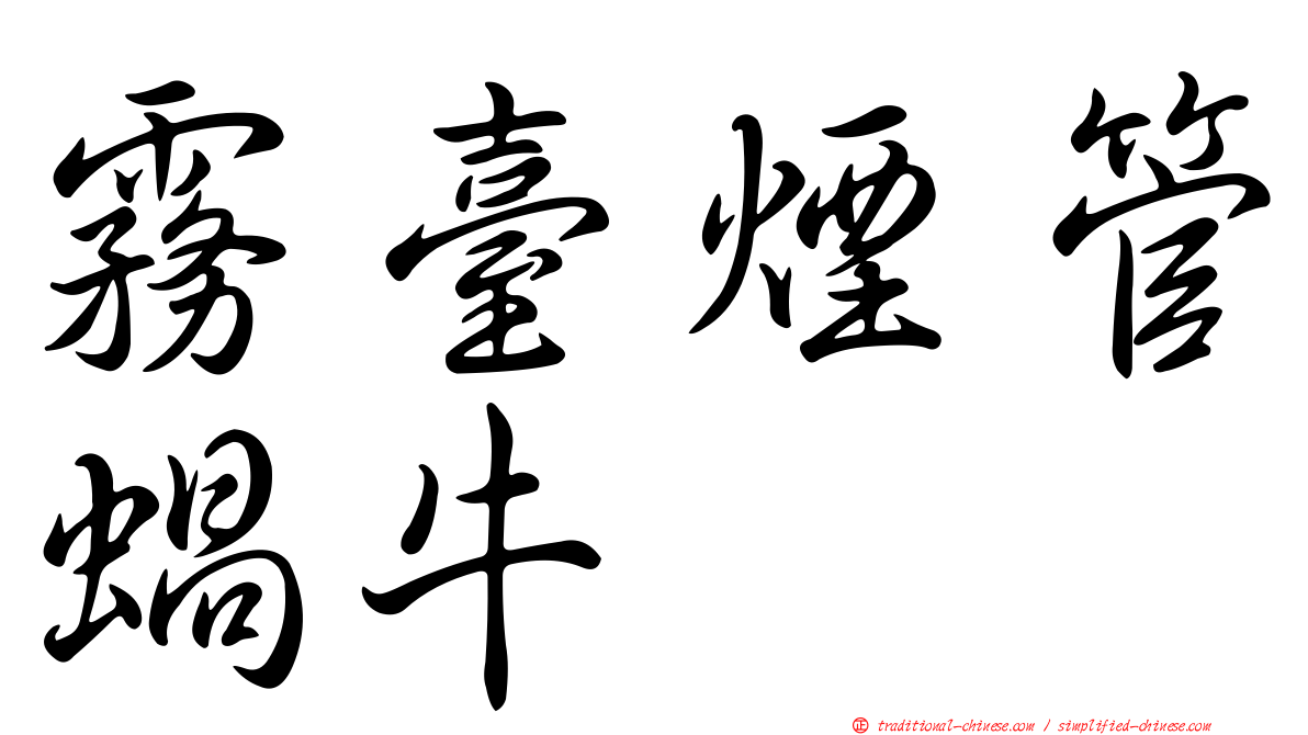 霧臺煙管蝸牛