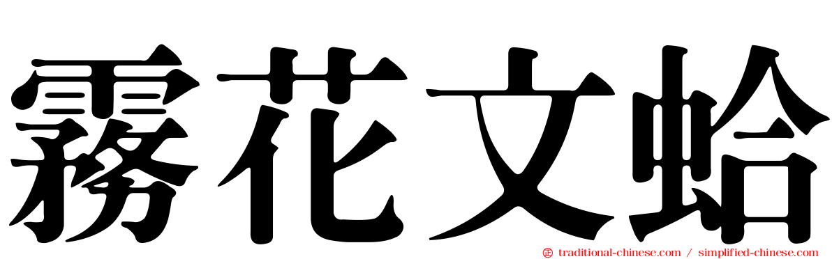 霧花文蛤