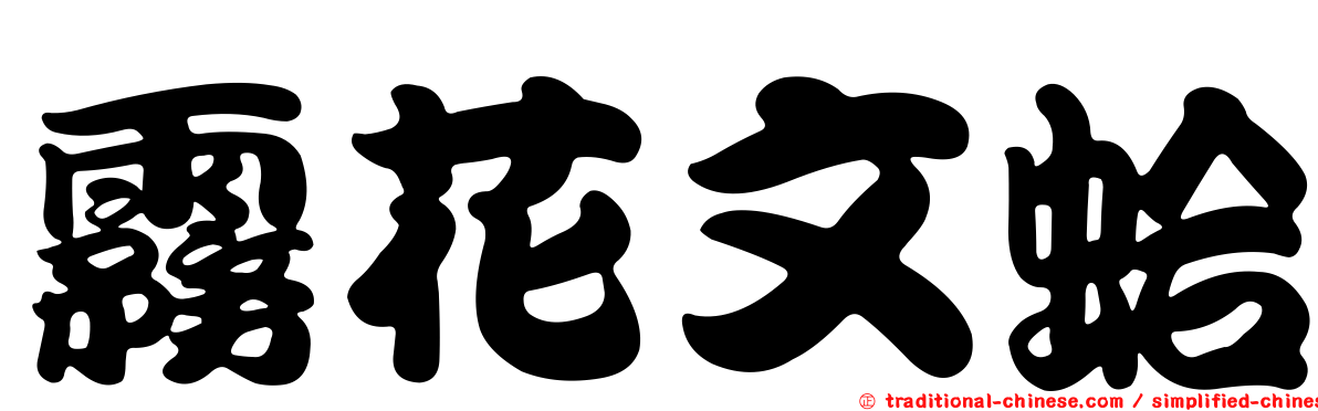 霧花文蛤