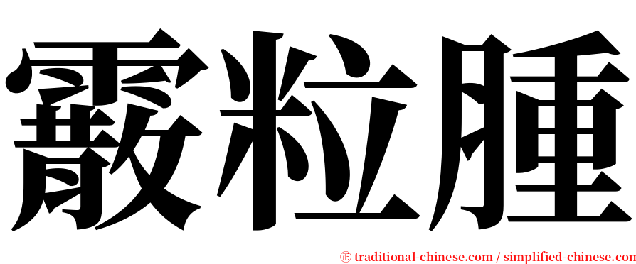 霰粒腫 serif font