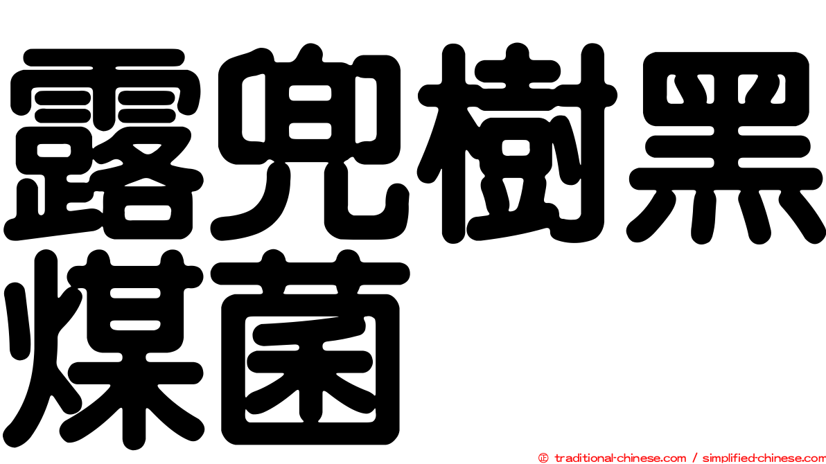 露兜樹黑煤菌