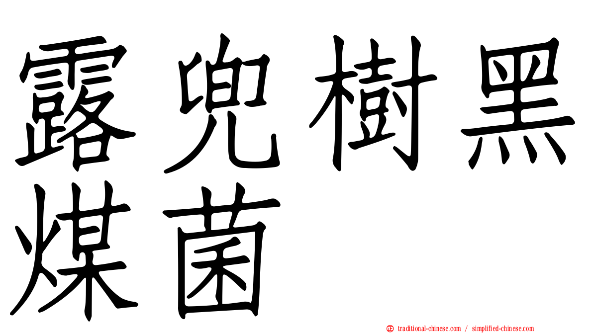 露兜樹黑煤菌