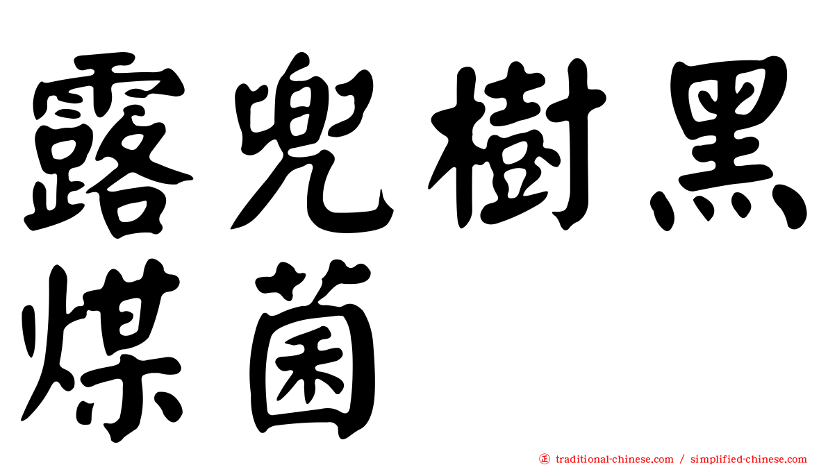 露兜樹黑煤菌