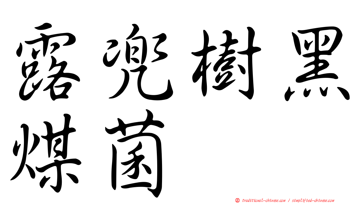 露兜樹黑煤菌