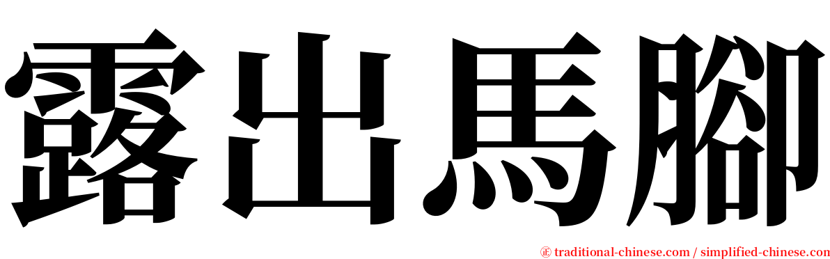 露出馬腳 serif font
