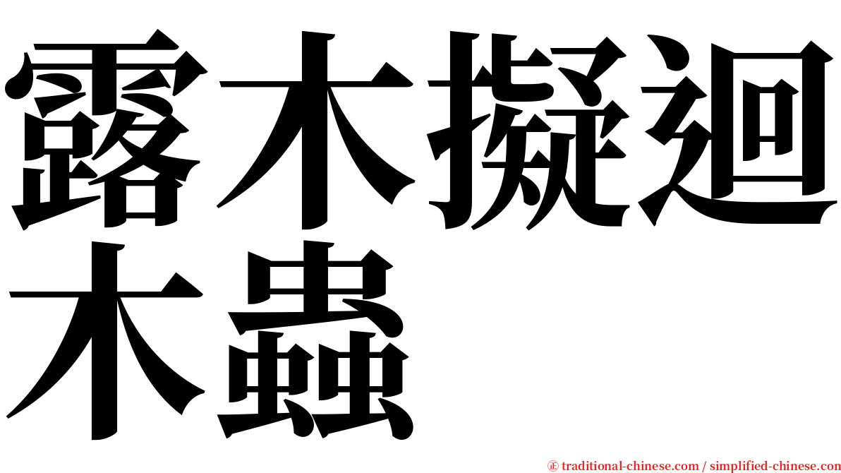 露木擬迴木蟲 serif font