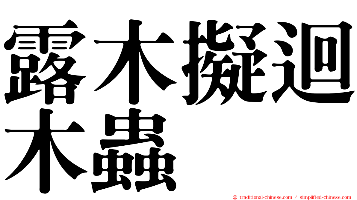 露木擬迴木蟲