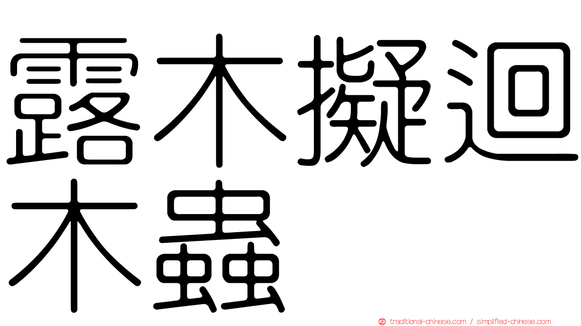 露木擬迴木蟲