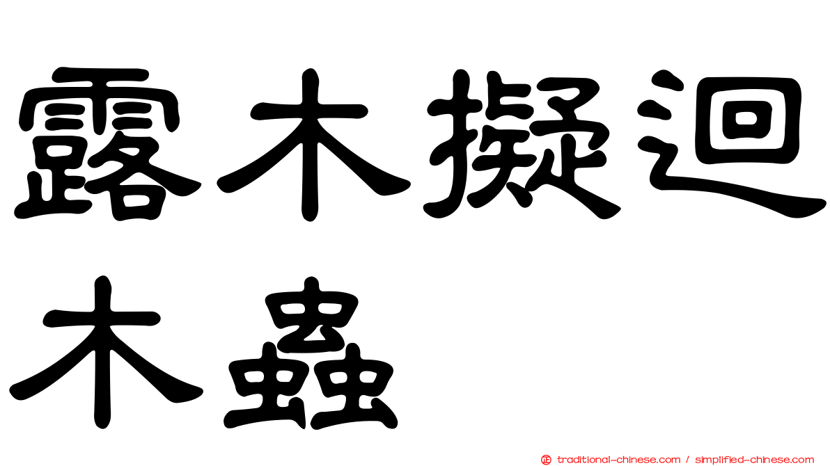 露木擬迴木蟲
