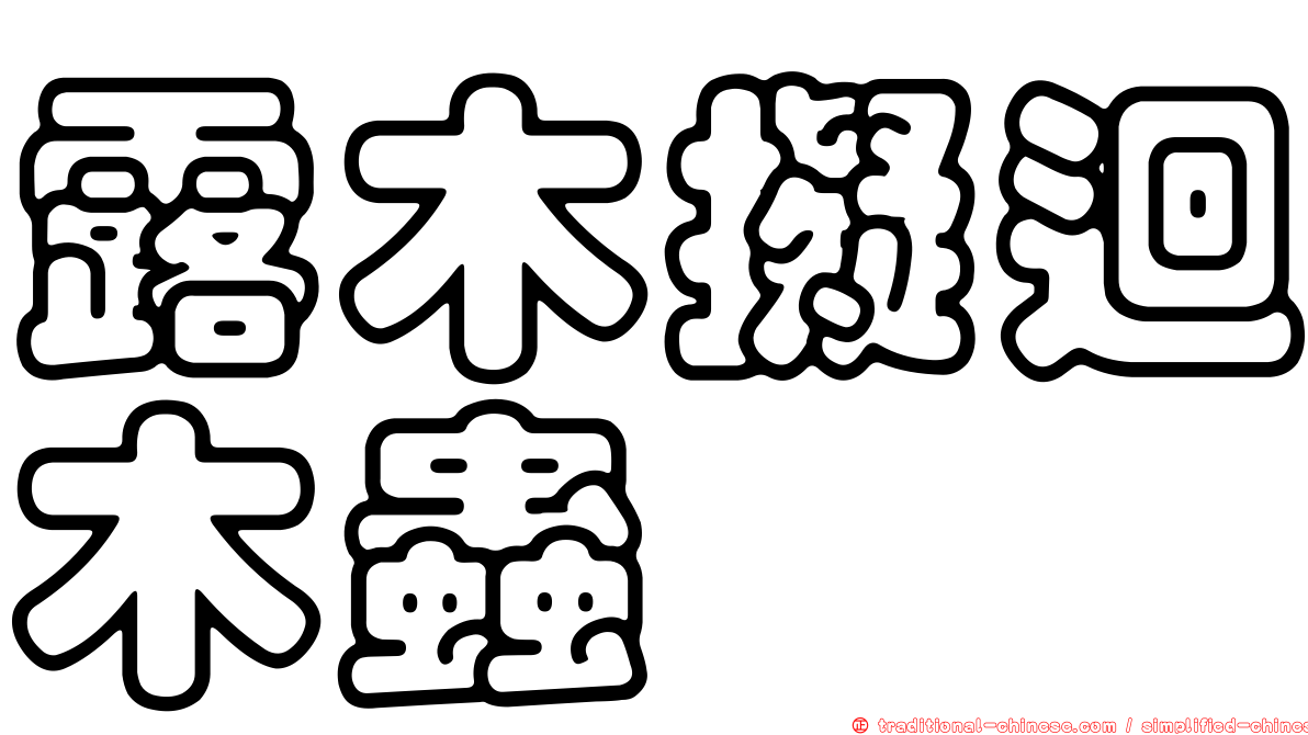 露木擬迴木蟲