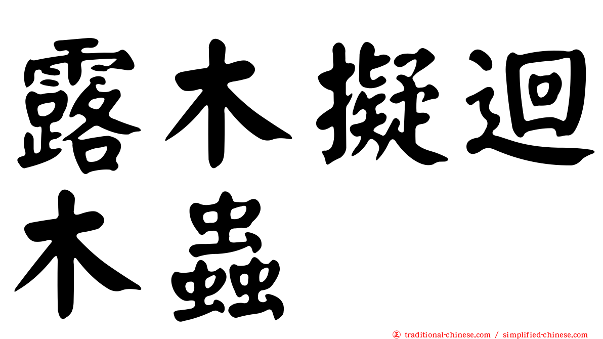 露木擬迴木蟲