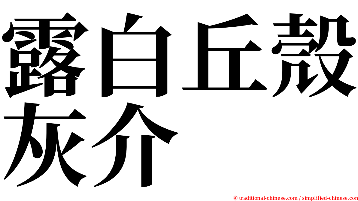 露白丘殼灰介 serif font