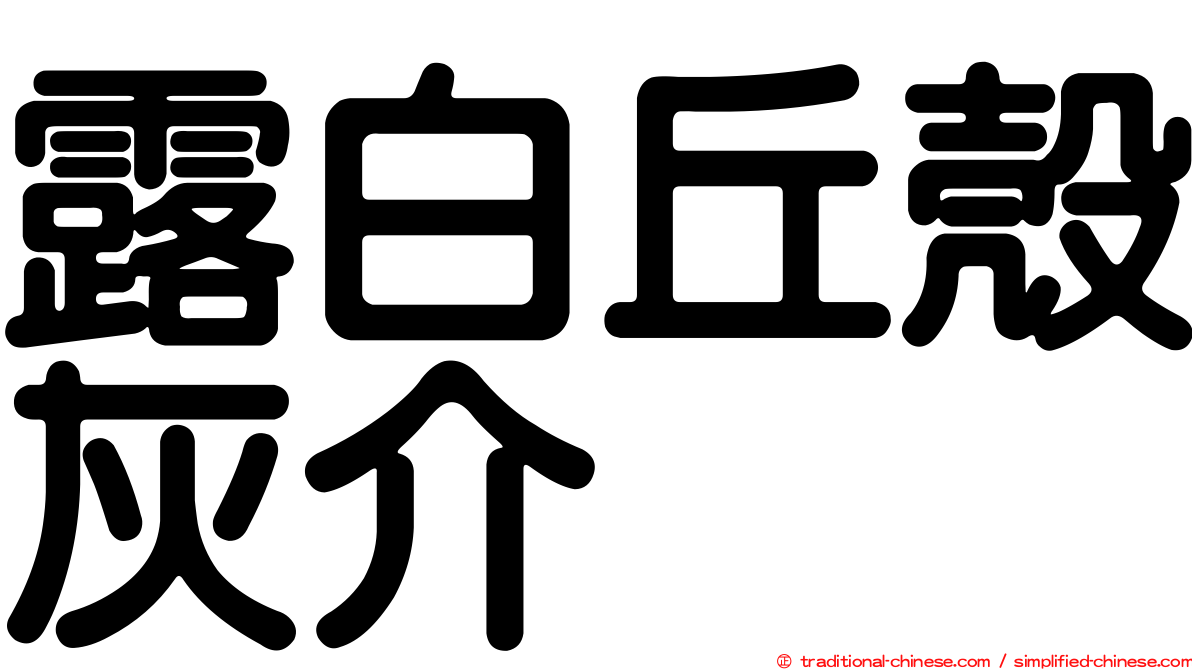 露白丘殼灰介