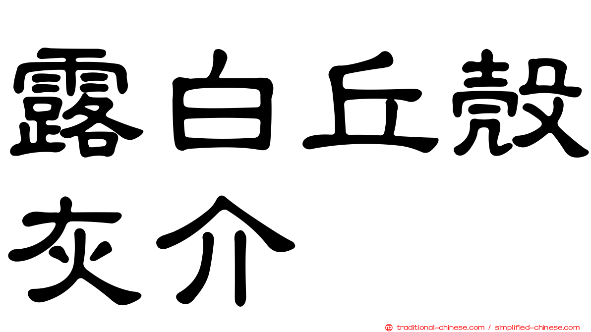 露白丘殼灰介