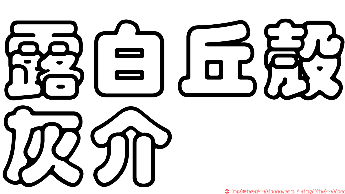 露白丘殼灰介