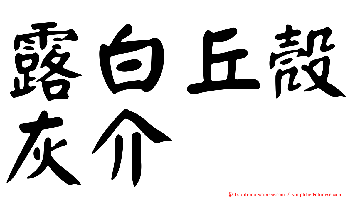 露白丘殼灰介
