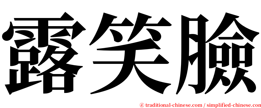 露笑臉 serif font