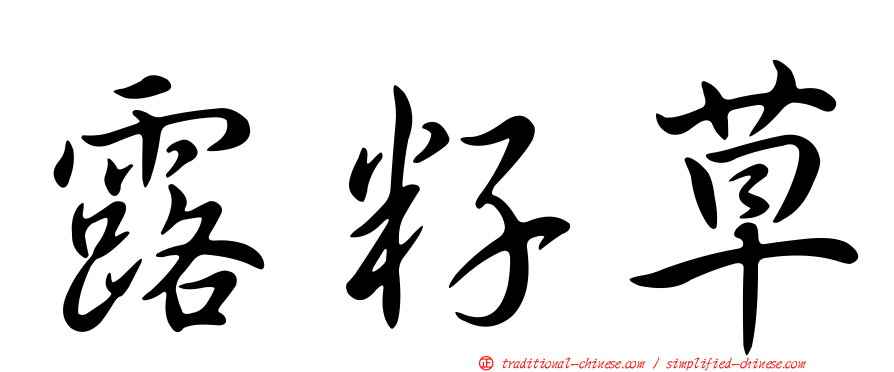 露籽草