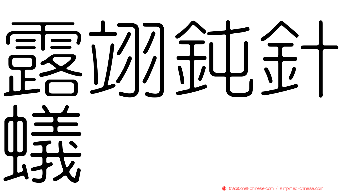 露翊鈍針蟻