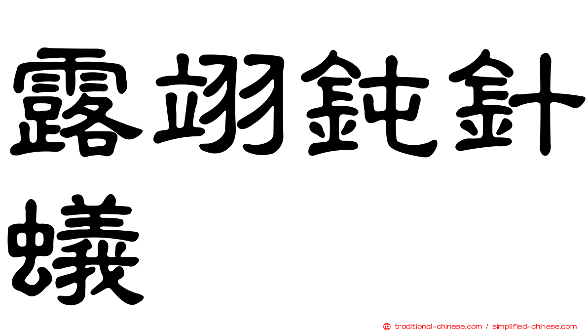露翊鈍針蟻