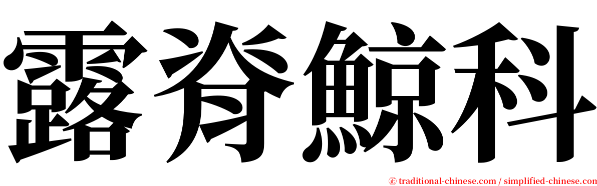 露脊鯨科 serif font