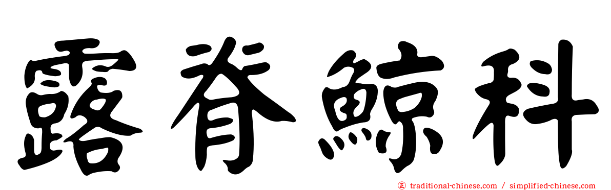 露脊鯨科