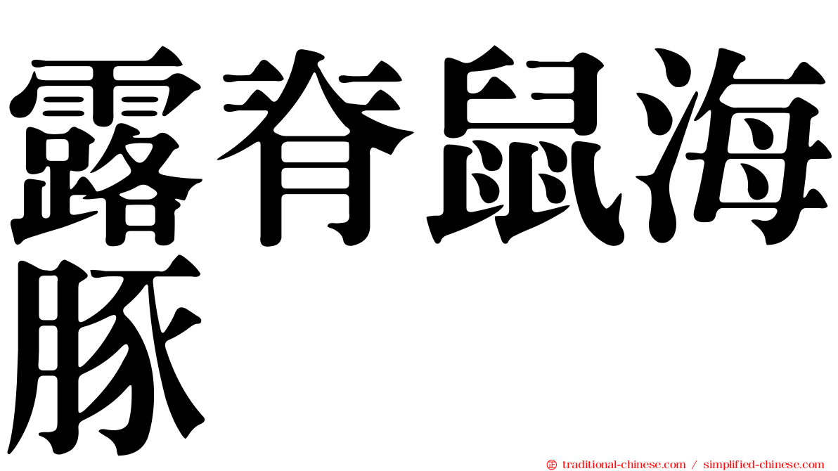 露脊鼠海豚