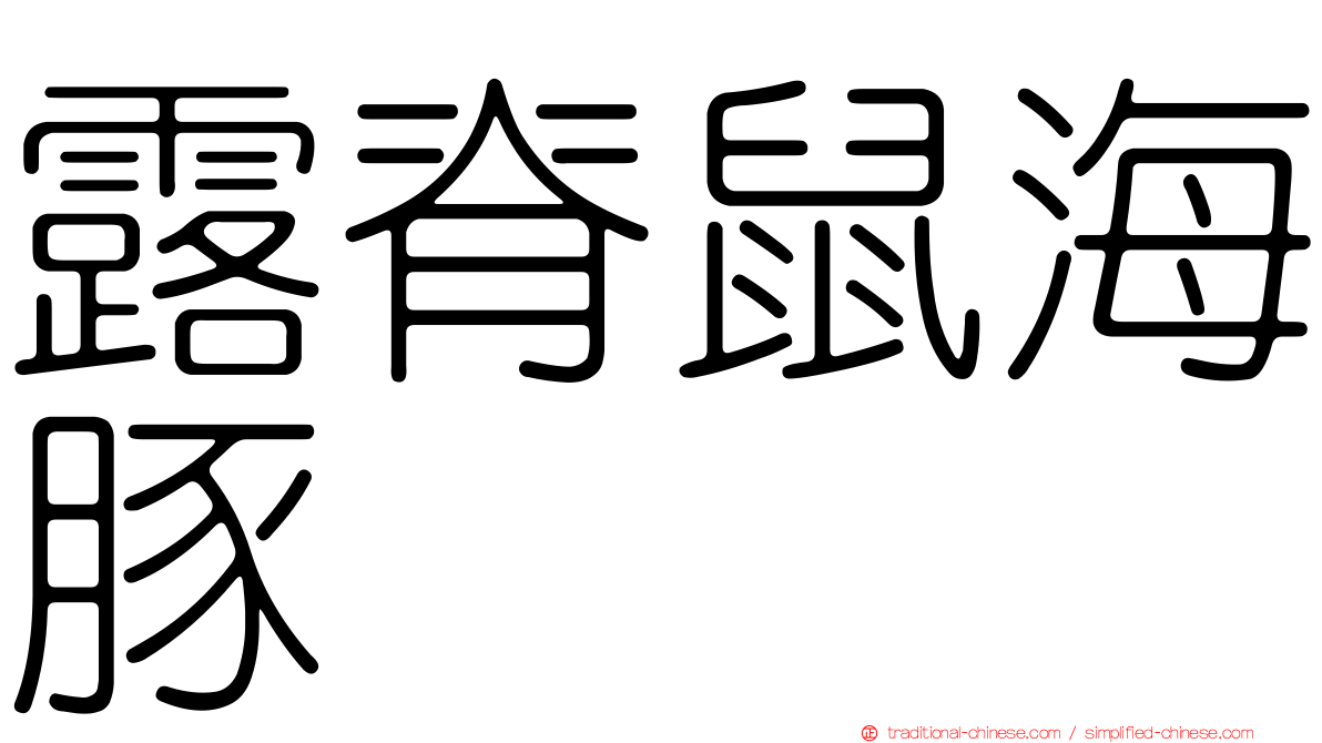 露脊鼠海豚