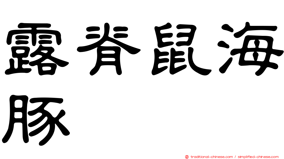 露脊鼠海豚