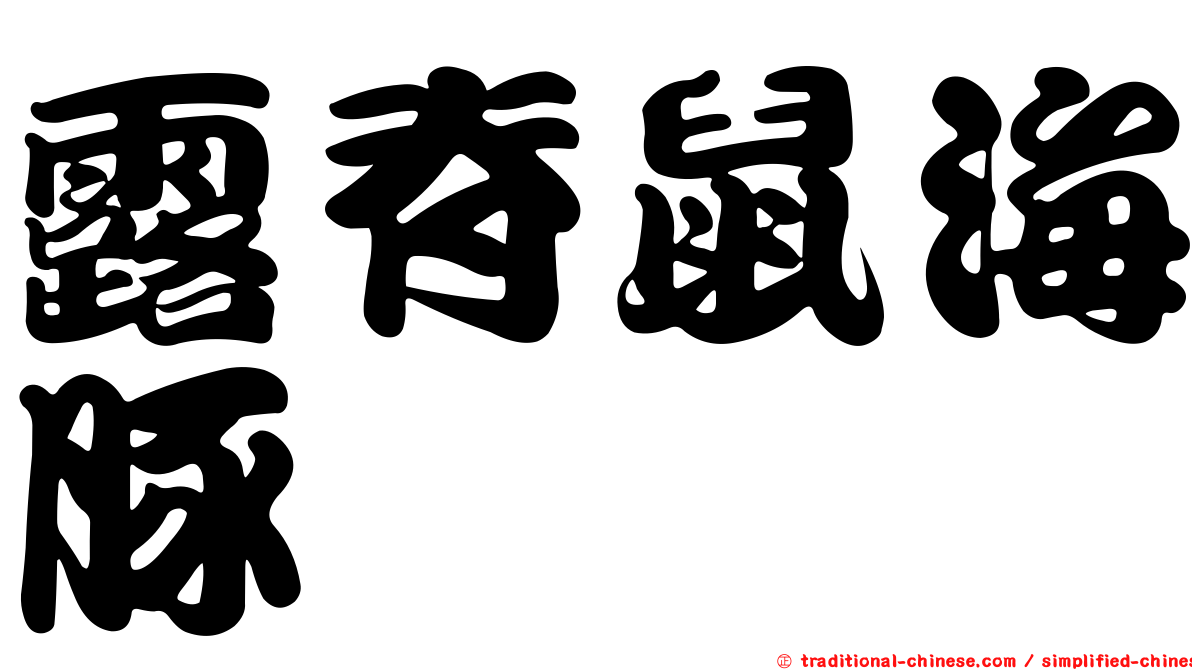 露脊鼠海豚