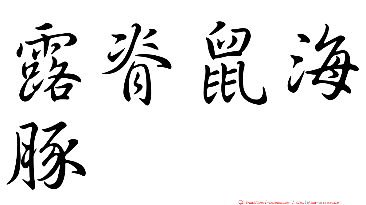 露脊鼠海豚