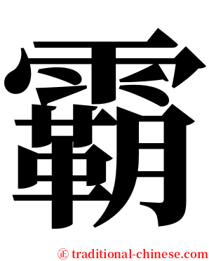 霸 serif font