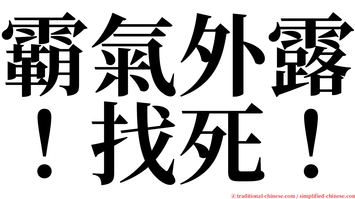 霸氣外露！找死！ serif font