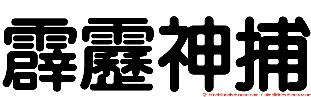 霹靂神捕