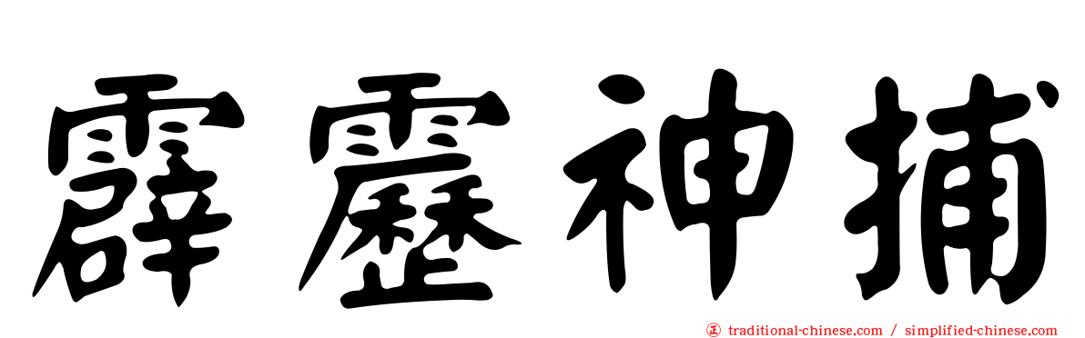 霹靂神捕