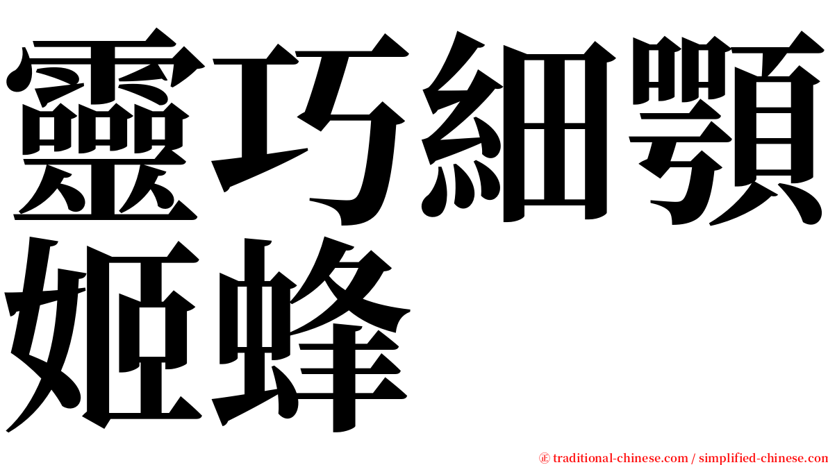 靈巧細顎姬蜂 serif font