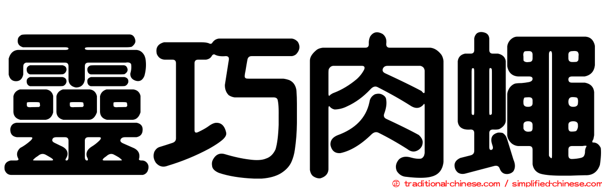 靈巧肉蠅