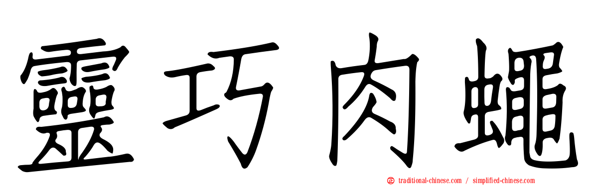 靈巧肉蠅