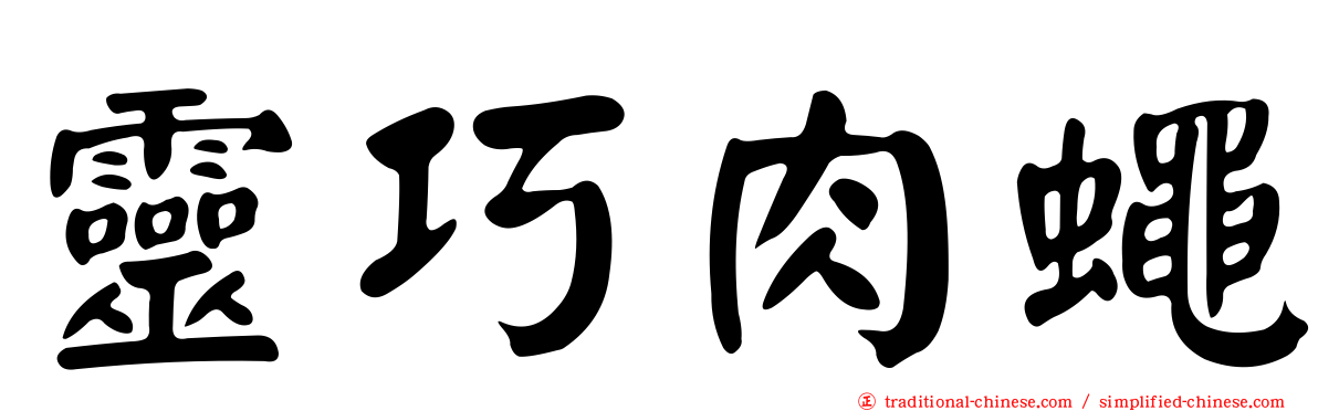 靈巧肉蠅