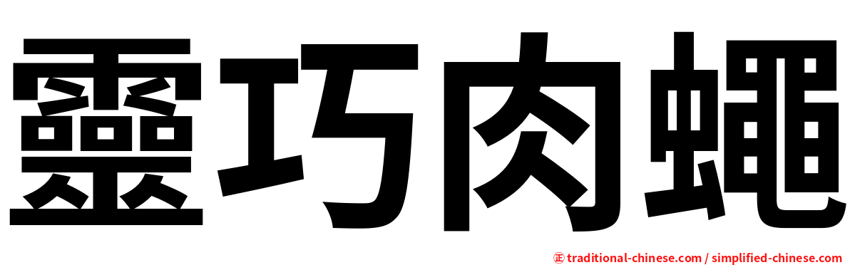 靈巧肉蠅
