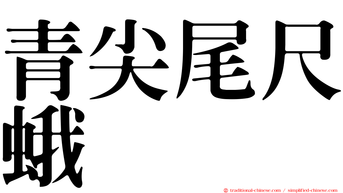 青尖尾尺蛾