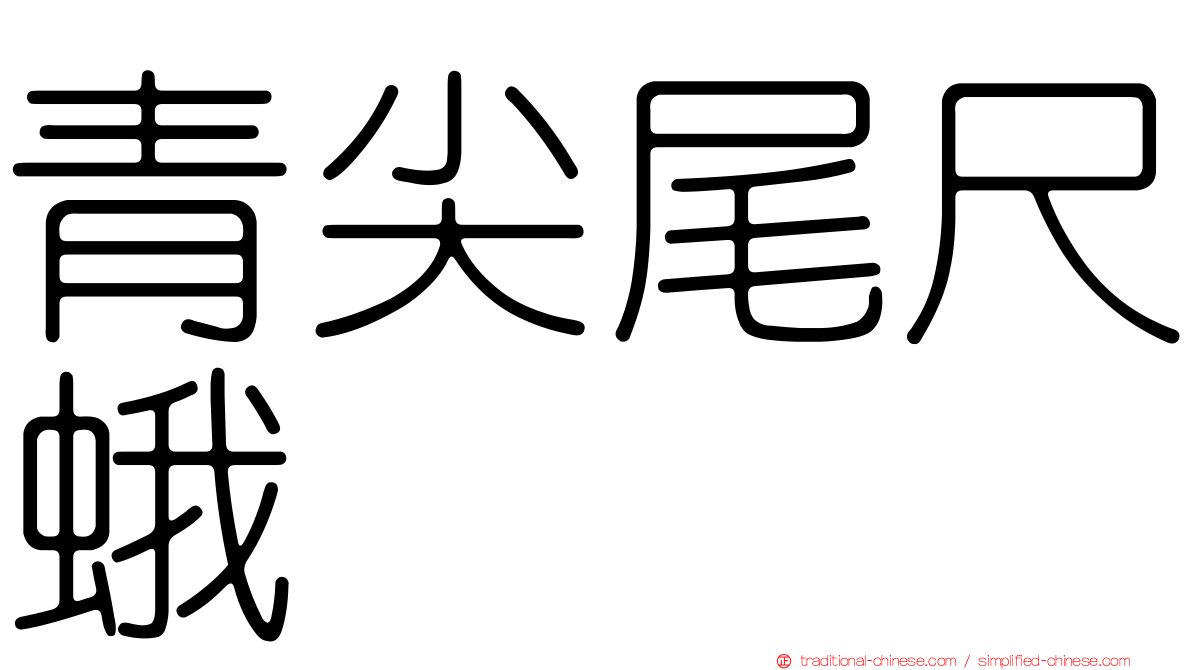 青尖尾尺蛾