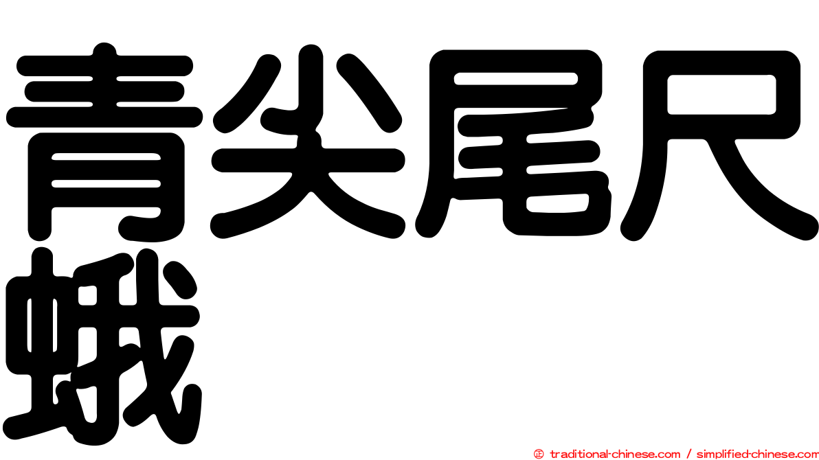 青尖尾尺蛾