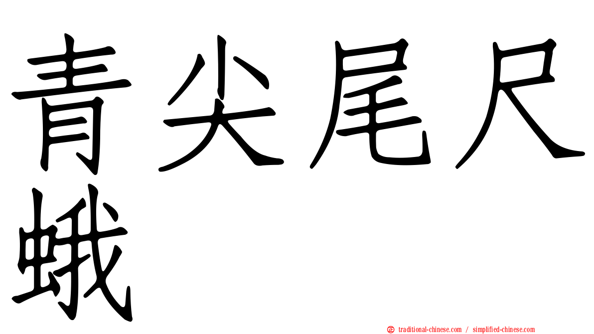 青尖尾尺蛾