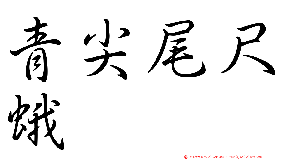 青尖尾尺蛾