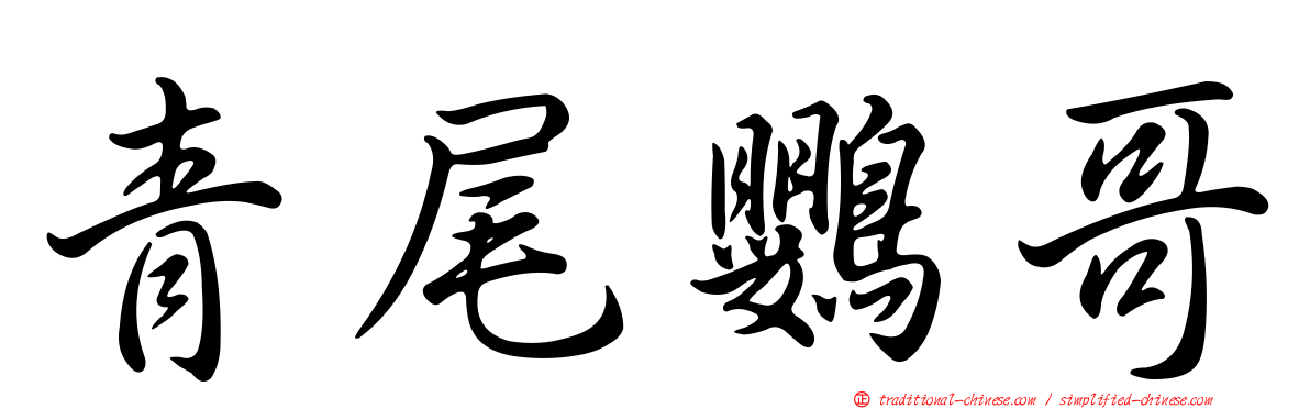 青尾鸚哥